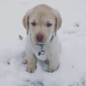 Meet your Posher, Emilie